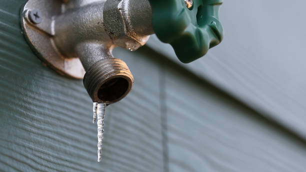 Best Sprinkler Systems  in Prestonsburg, KY